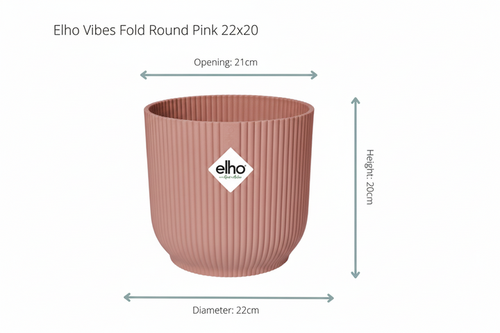 Combi deal - Bananenplant (Musa) Fold Round - 100 cm