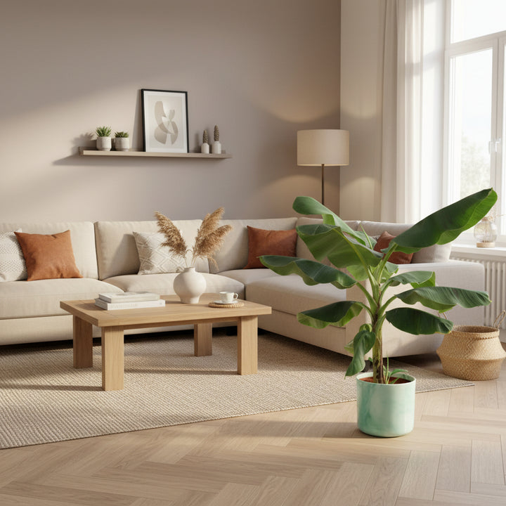 Combi deal - Bananenplant (Musa) inclusief Elho Ocean Round - 100cm