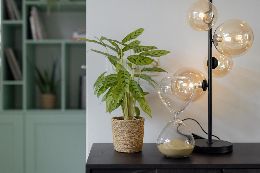Calathea Leopardina - 35cm - Pauwenplant - Kamerplant