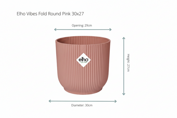Combi deal - Kentia palm inclusief elho Vibes Fold Round - 180 cm