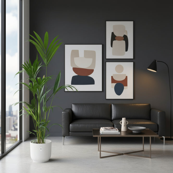 Combi deal - Kentia palm inclusief elho Vibes Fold Round - 160 cm