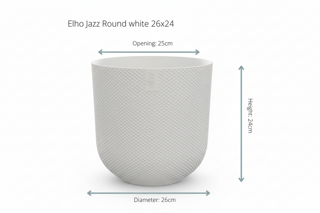 Offre combinée - Palmier Kentia avec pot elho Jazz Round - 160 cm