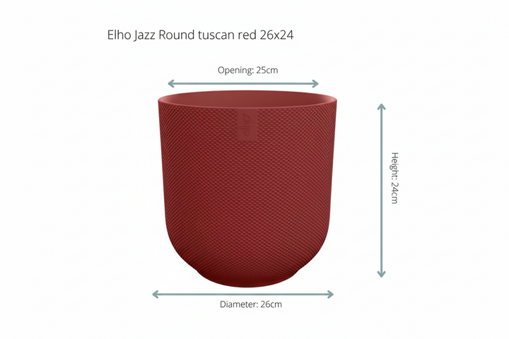Offre combinée - Palmier Kentia avec pot elho Jazz Round - 160 cm