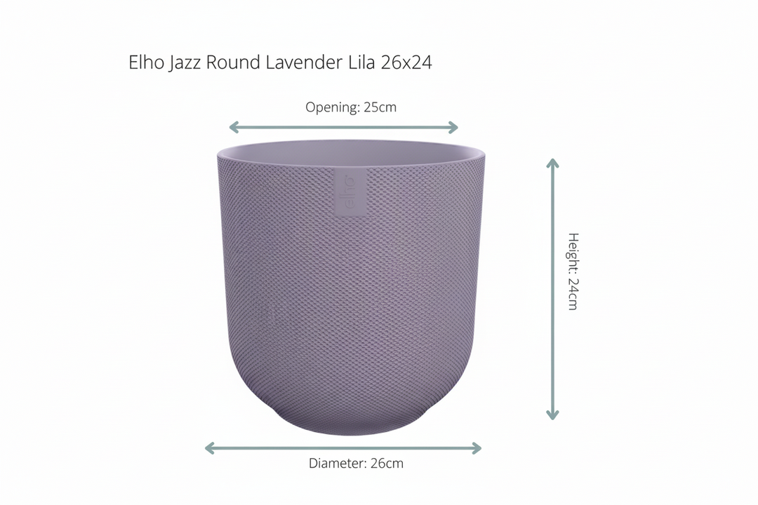 Offre combinée - Palmier Kentia avec pot elho Jazz Round - 160 cm