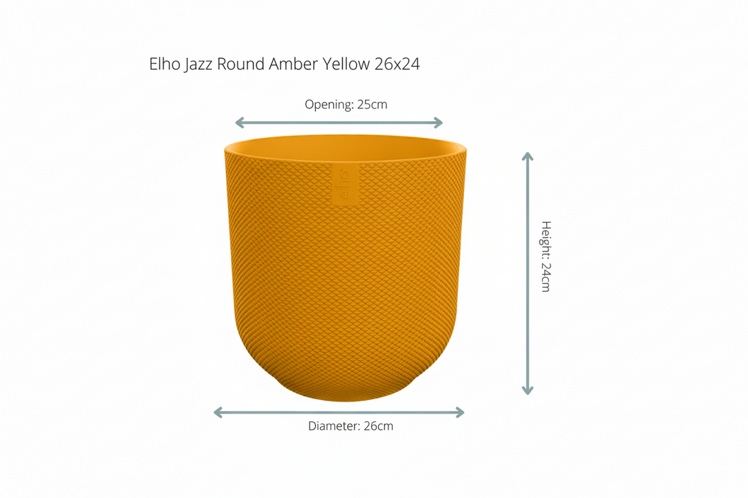 Offre combinée - Palmier Kentia avec pot elho Jazz Round - 160 cm