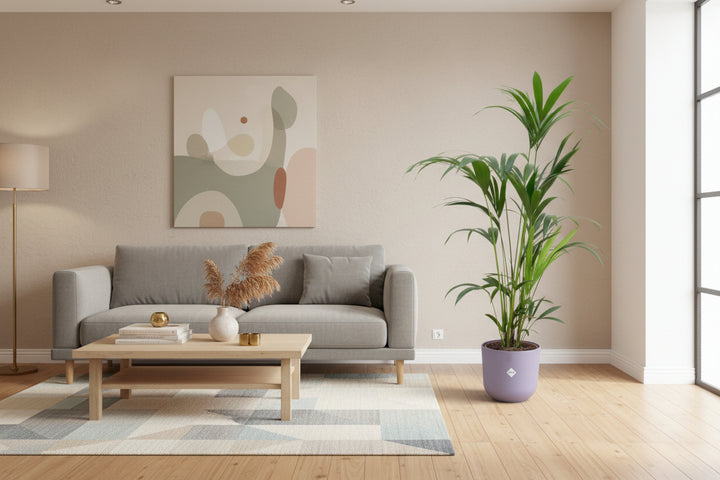 Offre combinée - Palmier Kentia avec pot elho Jazz Round - 160 cm