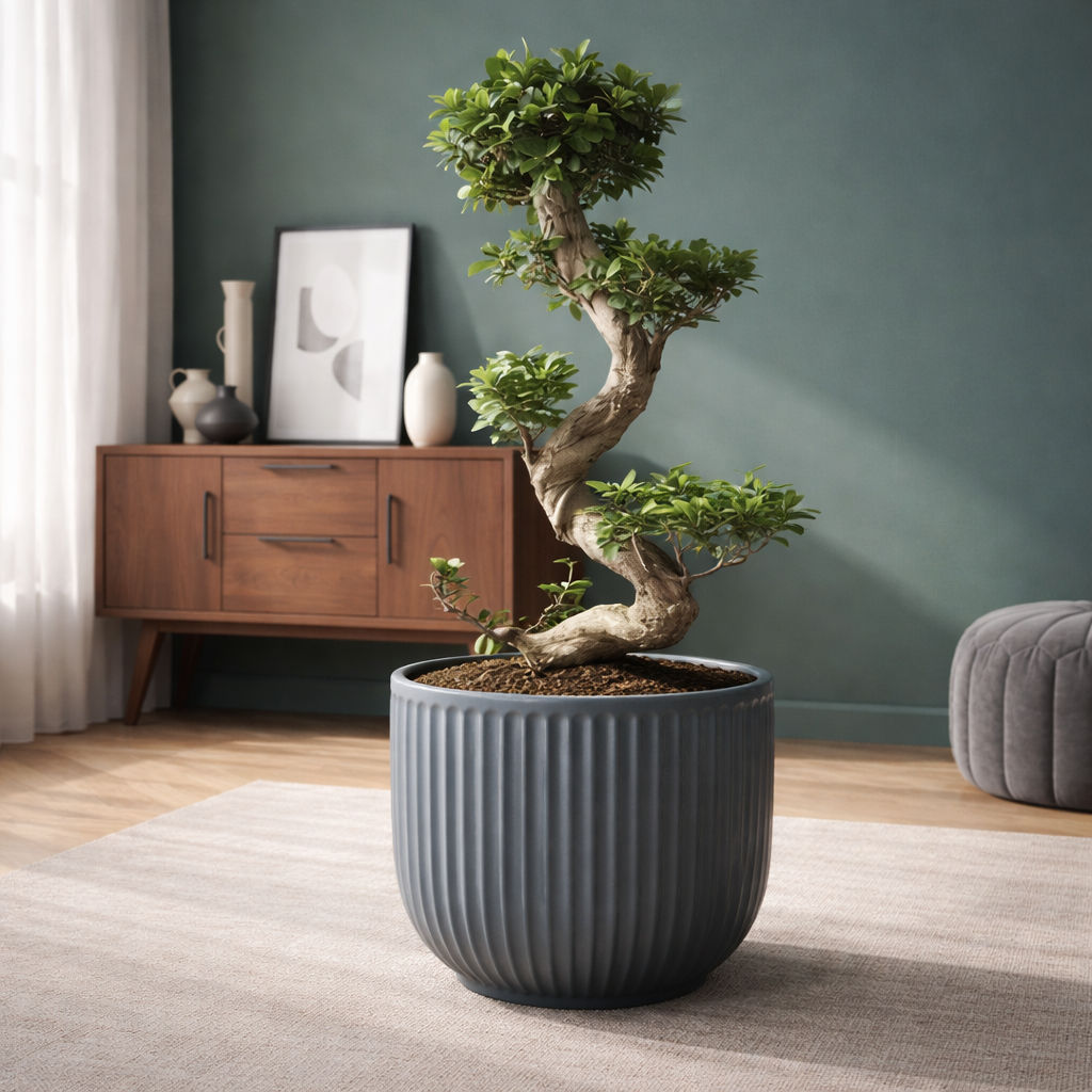 Ficus Ginseng Bonsai en S | 80 cm | Plante d'intérieur