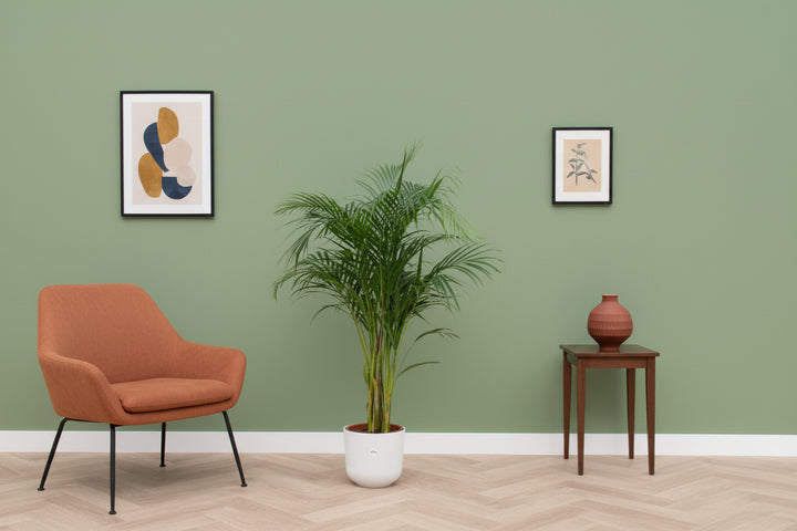Pot Elho Jazz Round wit - Bloempot Kamerplant - Plantenpot