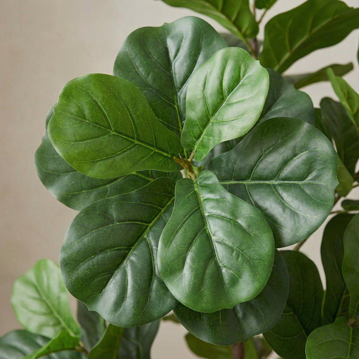 Kunst Ficus lyrata vertakt - 150cm - Vioolbladplant