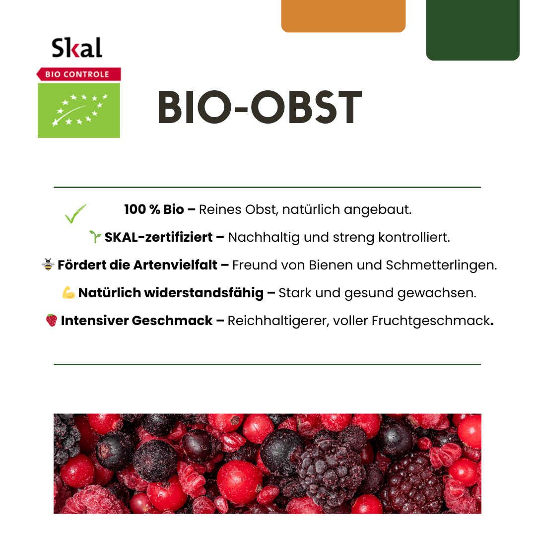 Biologische druivenplanten - 20cm - Kamerplant Kopen