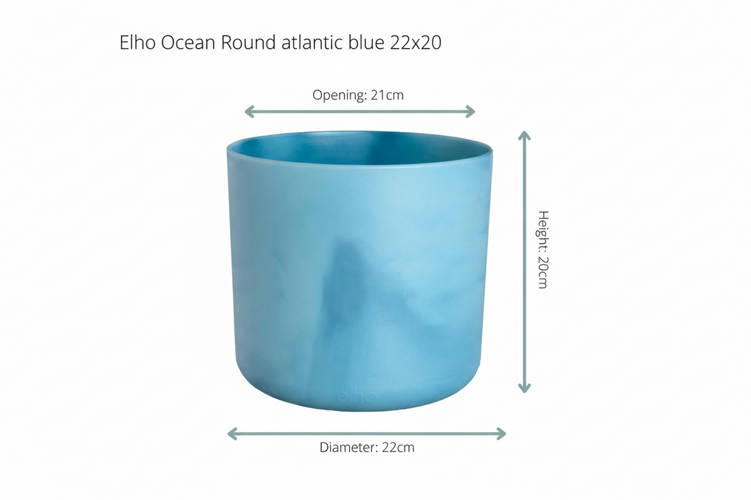 Combi deal - Bananenplant (Musa) inclusief Elho Ocean Round - 100cm