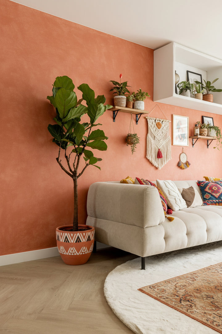 Ficus Lyrata boom XL - 180cm - Vioolbladplant - Kamerplant