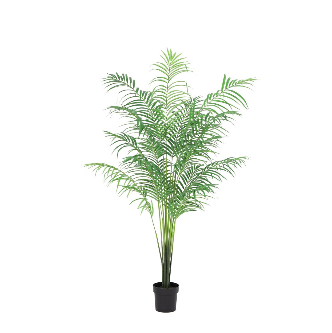 Kunst Kentia palm - 170cm - Kamerplant Kopen