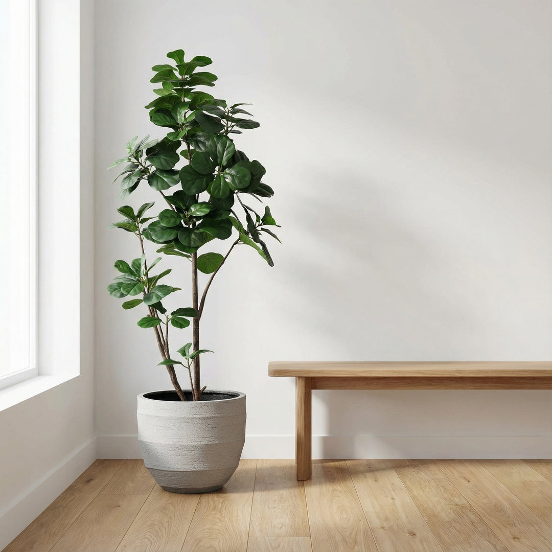 Kunst Ficus lyrata vertakt - 150cm - Vioolbladplant