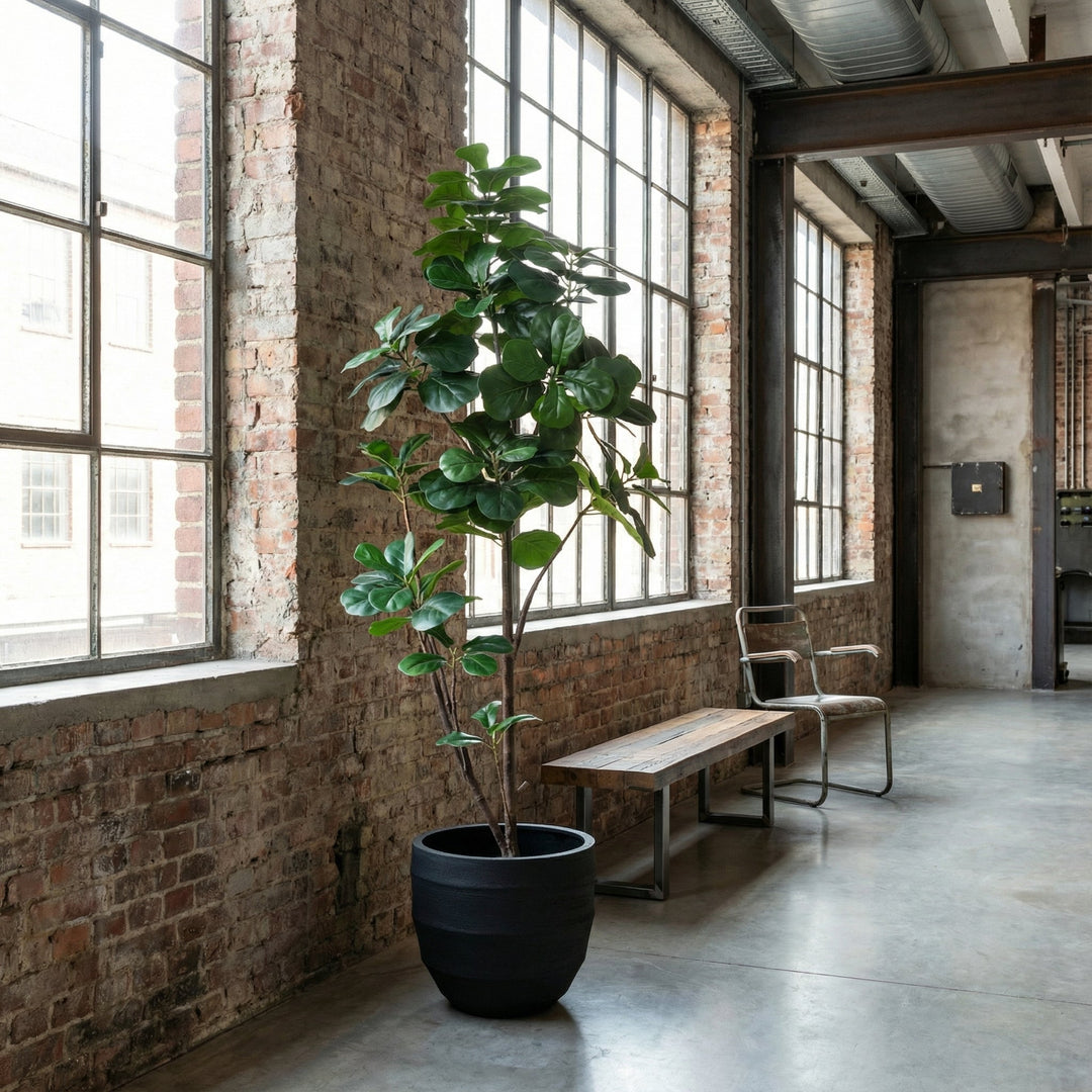 Kunst Ficus lyrata vertakt - 150cm - Vioolbladplant