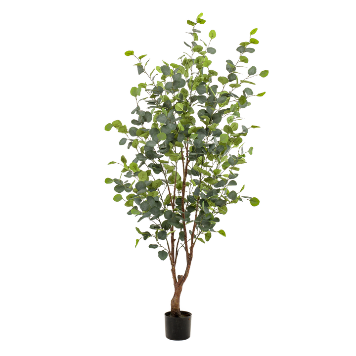Kunstplant - Eucalyptus - Blauwe Gomboom - 140 cm | Premium