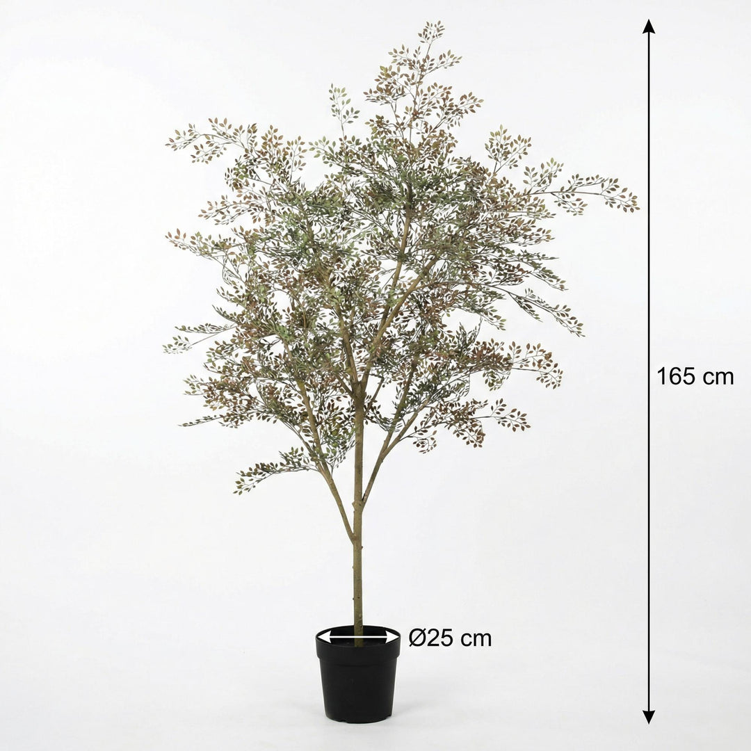 Kunstplant Bucida - 165cm - Nep Plant Interieur | Koop