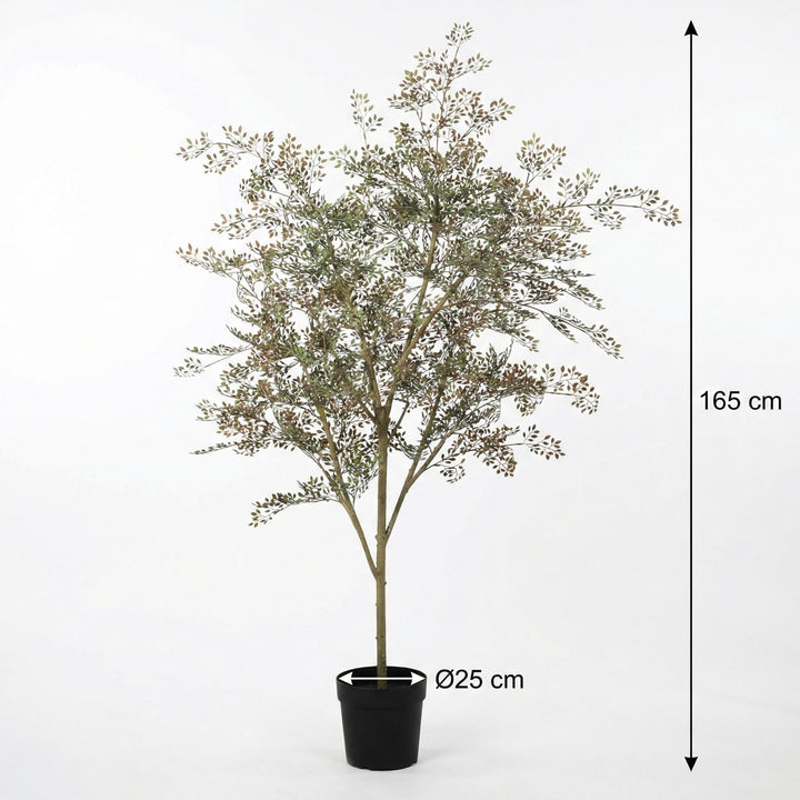 Kunstplant Bucida - 165cm - Nep Plant Interieur | Koop