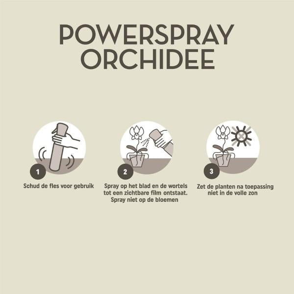 Pokon Powerspray orchidée 300 ml - Orchidée Phalaenopsis