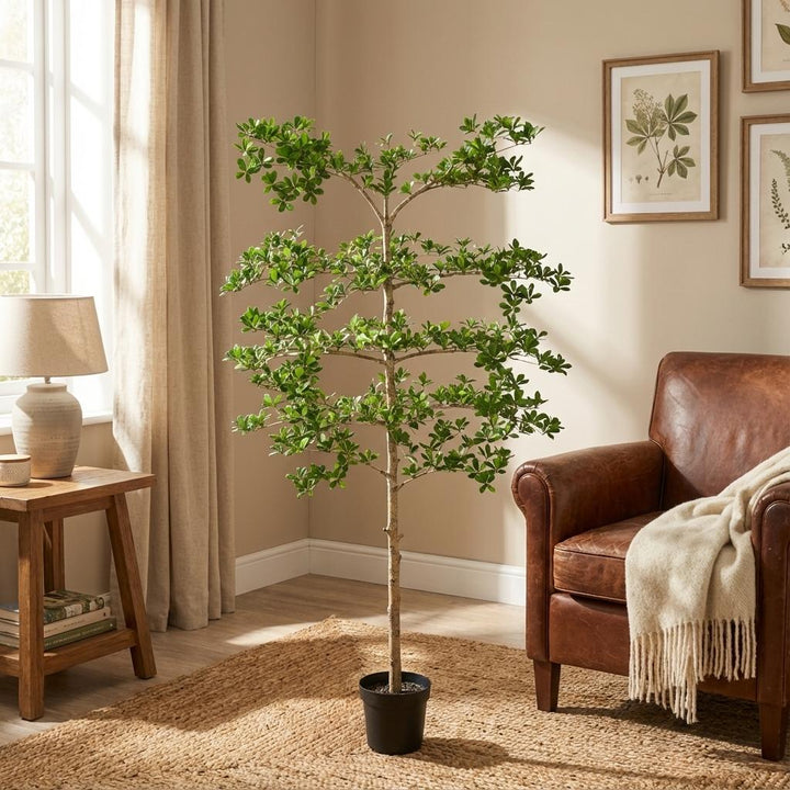 Bucida - 200cm - Kunstplant - Nep Plant Interieur | Koop