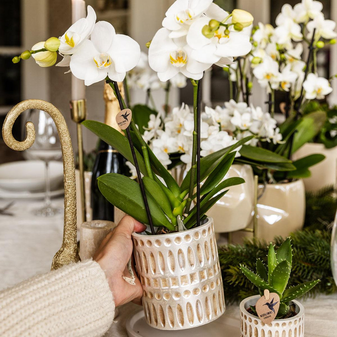 Mozaïek sierpot - Ø6cm - Plantenpot