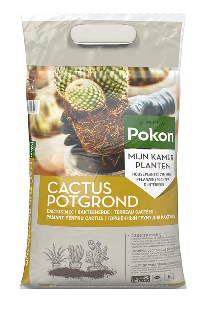 Pokon cactus & plante grasse - Terreau - 5L - Mélange pour cactus