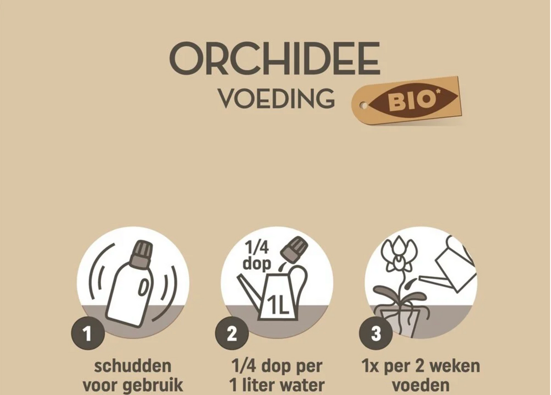 Pokon engrais bio orchidées 250 ml - Soin des plantes