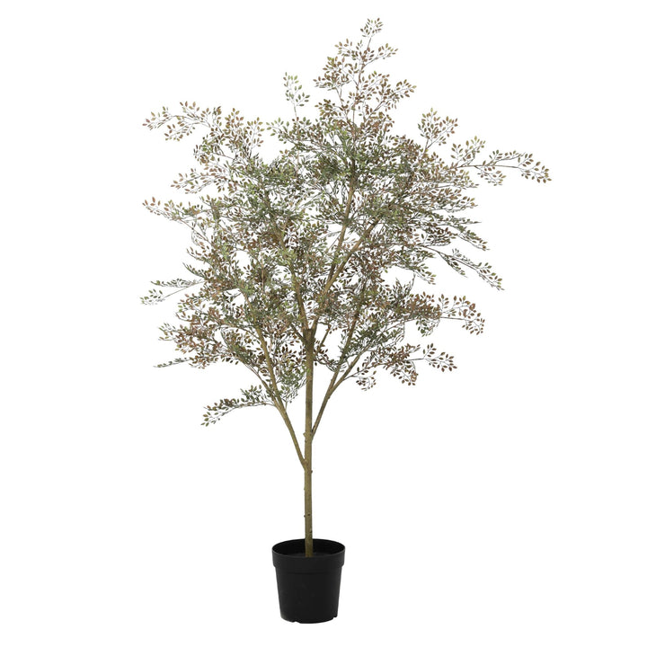 Kunstplant Bucida - 165cm - Nep Plant Interieur | Koop