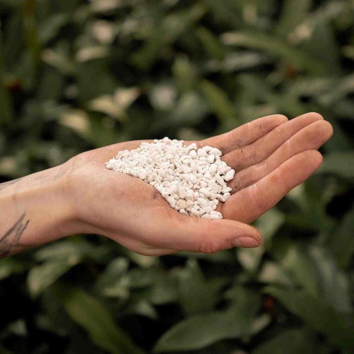 Perlite 3L - Soins des plantes