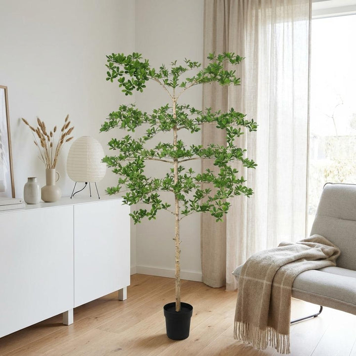 Bucida - 200cm - Kunstplant - Nep Plant Interieur | Koop