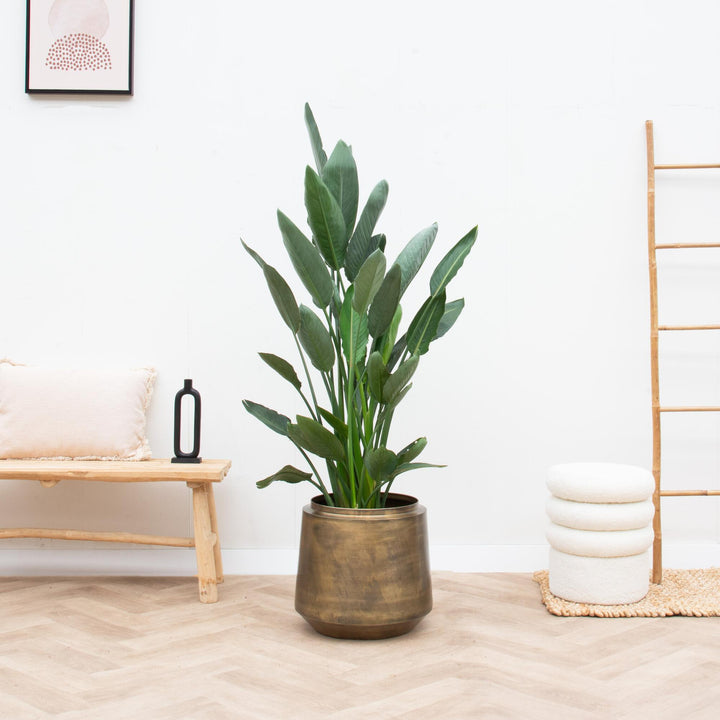 Bloempot Indigo Vintage Gold – Ø58 x H51cm | Grote Pot Kamerplant