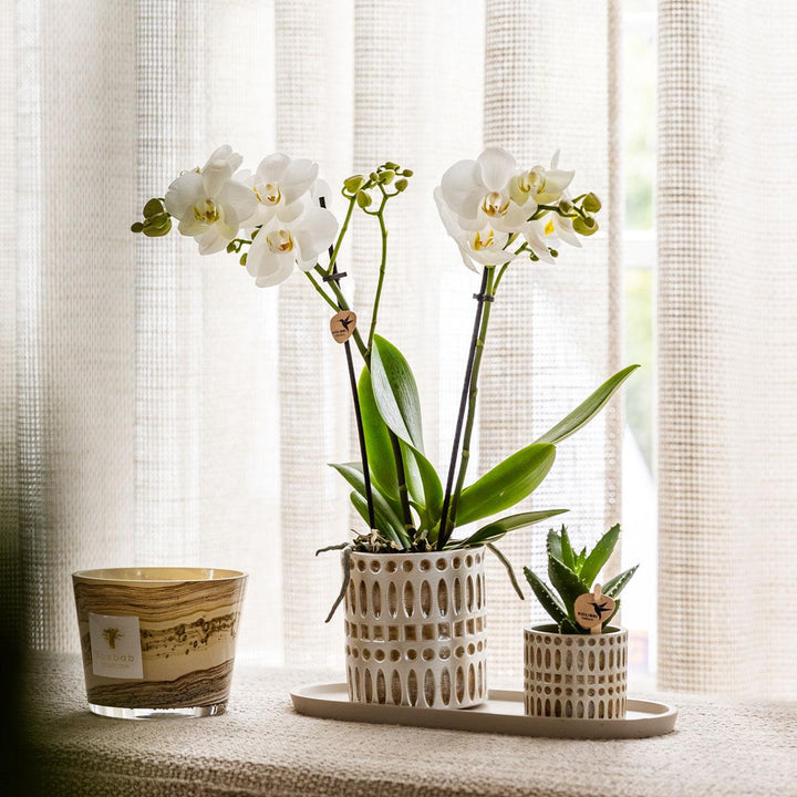 Mozaïek sierpot - Ø9cm - Plantenpot