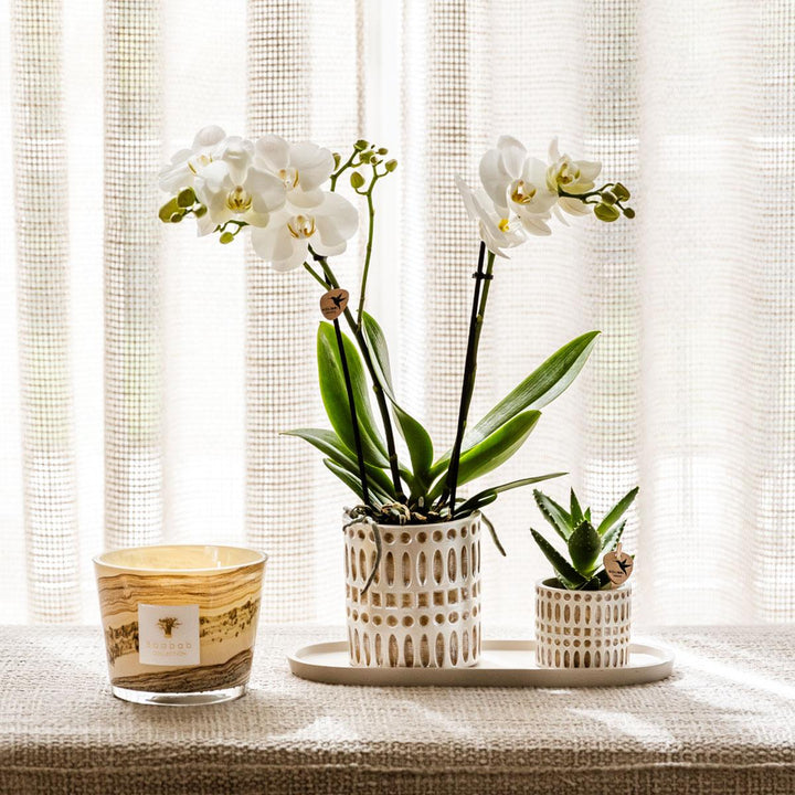 Mozaïek sierpot - Ø9cm - Plantenpot