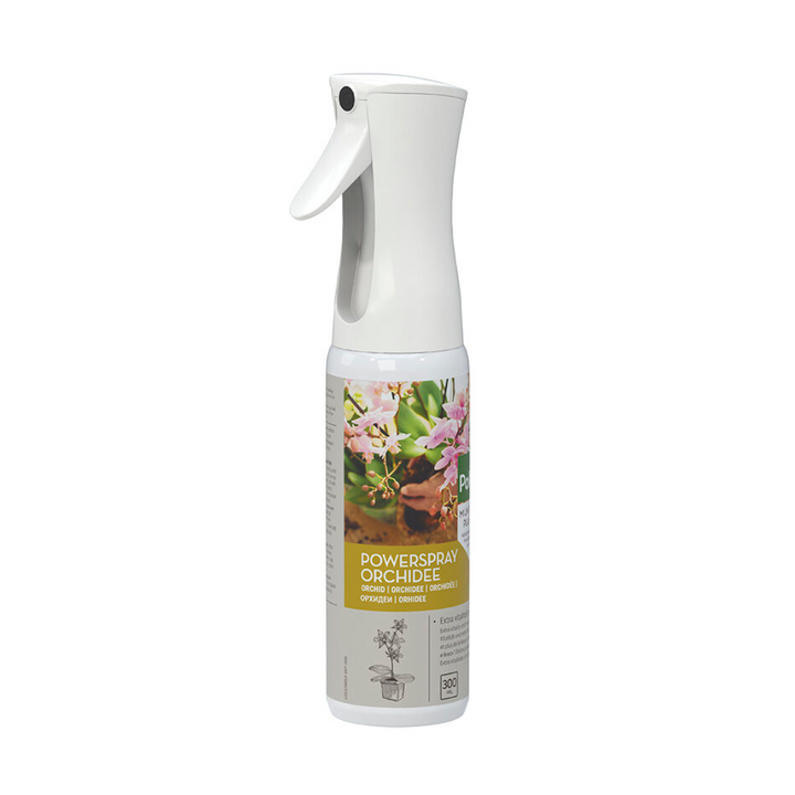 Pokon Powerspray orchidée 300 ml - Orchidée Phalaenopsis