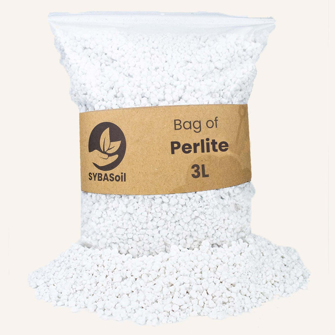 Perlite 3L - Soins des plantes