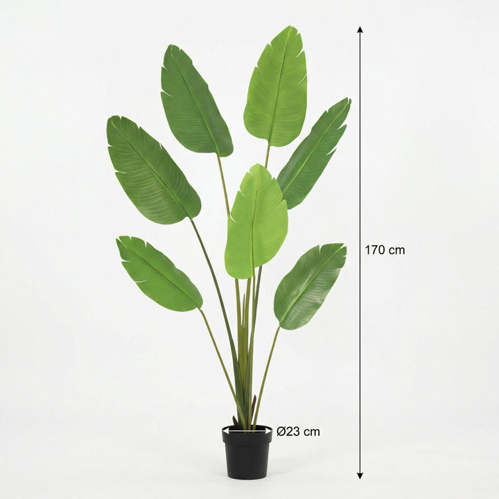 Strelitzia Nicolai - 170cm - Kunstplant - Paradijsvogelplant