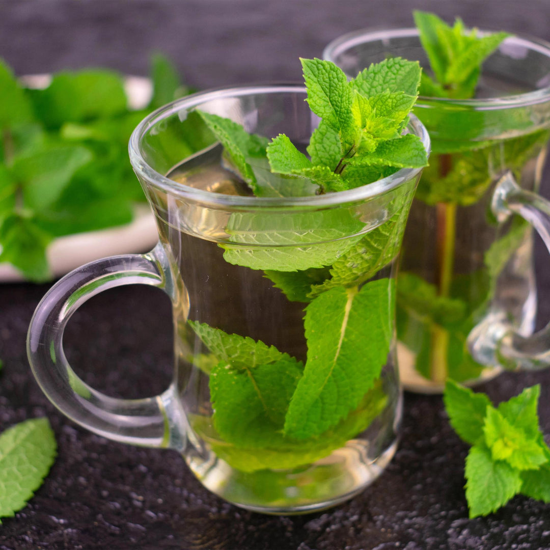 Kit de jardin de vivaces - Herbes à tisane