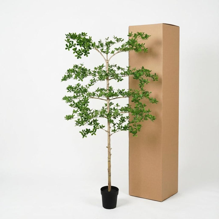 Bucida - 200cm - Kunstplant - Nep Plant Interieur | Koop