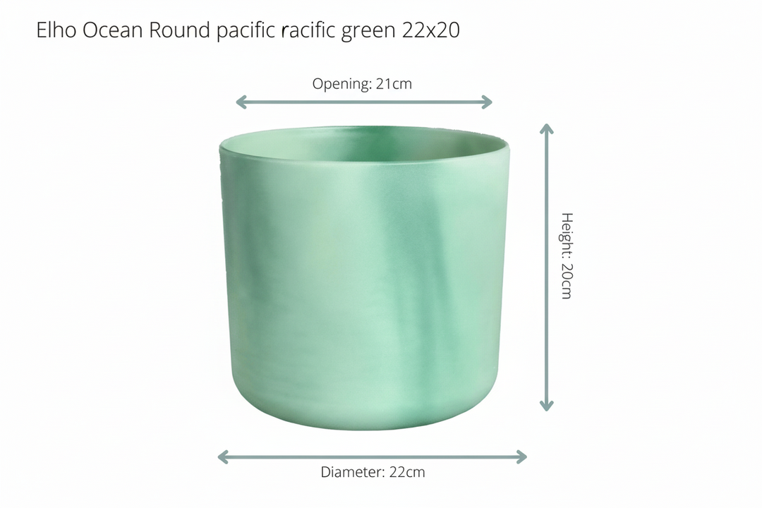 Combi deal - Bananenplant (Musa) inclusief Elho Ocean Round - 100cm