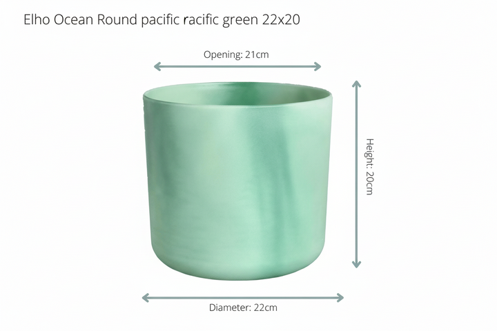 Combi deal - Bananenplant (Musa) inclusief Elho Ocean Round - 100cm