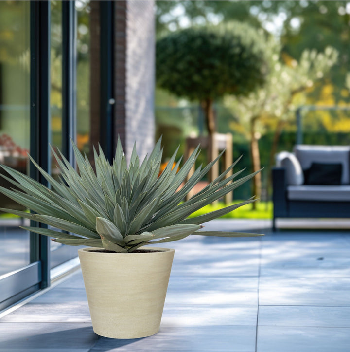 Yucca Gloriosa 'Lone Star' - 140 cm - Palmlelie Kamerplant